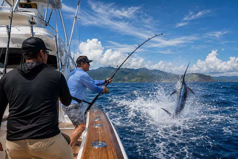 Private Catamaran Charter